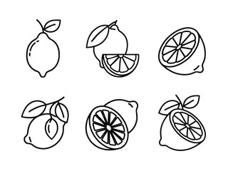 Lemon Fruit Segments and Whole Pieces Line Art Illustration