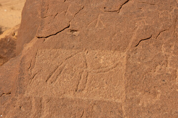 AlUla Archaeology Rock Art (Saudi Arabia)