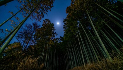 A serene night in a dense bamboo forest, illuminated by the tranquil moon.