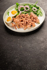 Tuna salad egg, arugula, vegetables tasty snack fresh delicious gourmet food background on the table rustic food top view copy space keto and paleo diet food pescetarian diet