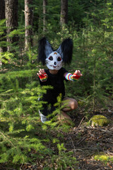 Fototapeta premium A quadrobing character sits among young fir trees in the forest, raising both paws as if showing claws and preparing to pounce. The fantasy costume includes a skull-like mask with black ears