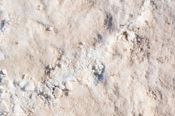 White salt Salt covering ground creating unique textured surface with cracks. Nature background...