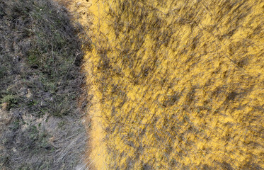Drone aerial view of Yellow toxic lake waste polluting the environment and killing plants