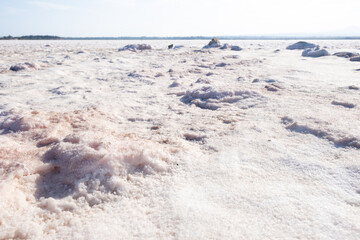 Salt desert landscape showing mineral formations under sunlight