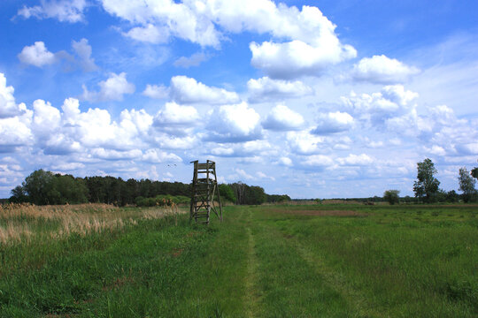 Rural Landscape near Gorden, Lower Lusatia, Germany
