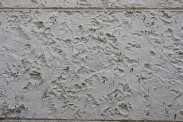 stone wall texture