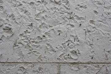 stone wall texture