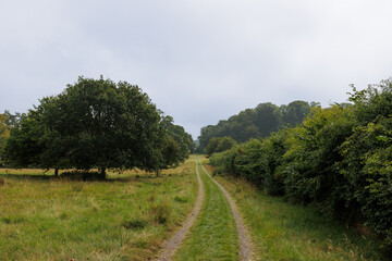 A country road winding through the summer countryside of Northern Ireland.