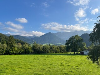 Grüne Wiese vor Bergpanorama, bei blauem Himmel mit Wolken und Baum bei Abendsonne 