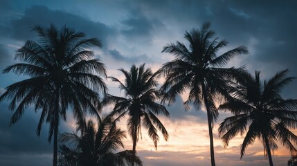 At dusk, tall palm trees create a striking silhouette against a vibrant sky filled with clouds, showcasing shades of orange and purple near the ocean. The scene exudes tranquility and beauty.
