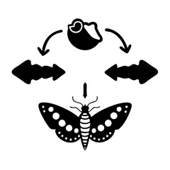 Vector art of butterfly with arrows indicating transformation and change, symbolizing growth and natural processes