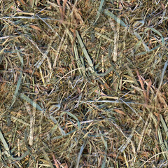 Heu, nahtlose Textur