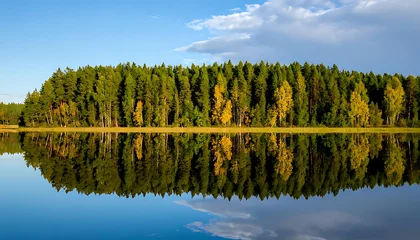 Poster Reflectie Autumnal forest reflected in a calm lake.  © Malika