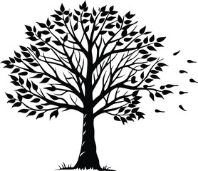 Obraz premium Lonely Birch Tree Silhouette | Birch Tree Outline Illustration