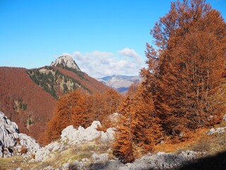 Mountain range of Prokletije National Park, Montenegro. Golden autumn in the mountains on a sunny day. Hike to Volushnica mountain.