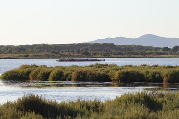 View of Orbetello Lagoon, province of Grosseto. WWF protected area, Tuscany, Italy