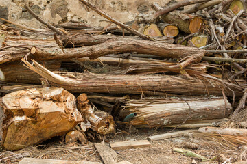 Leña apilada para chimeneas y fogatas