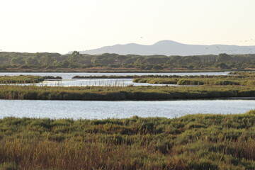View of Orbetello Lagoon, province of Grosseto. WWF protected area, Tuscany, Italy