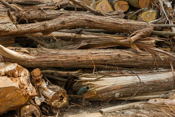 Leña apilada para chimeneas y fogatas