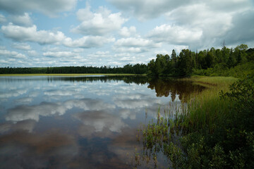 Calm lake in the woods of Northern Minnesota during summer