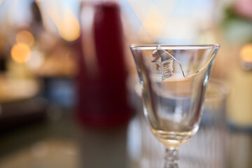 Discover Elegant Glassware featuring Artistic Details Perfect for Dining Experiences