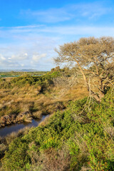 Ria Formosa Natural Park in Faro, Algarve, Portugal