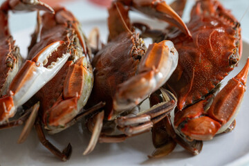 raw cooked crab on a white plate