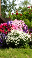 Vibrant flowerbed bursting with color