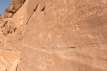 AlUla Archaeology Rock Art (Saudi Arabia)
