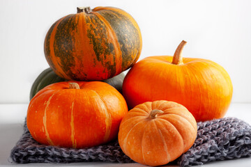 A group of different sized and colored pumpkins stacked on a gray knitted blanket, ready for fall...