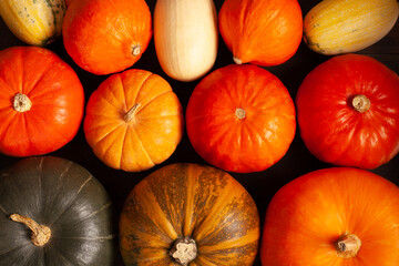 Top view of a diverse collection of pumpkins and gourds in various colors - orange, yellow, green,...