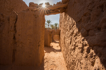 AlUla - Landscape - Oasis (Saudi Arabia)