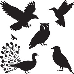 Diverse bird silhouettes eagle owl peacock hummingbird vector