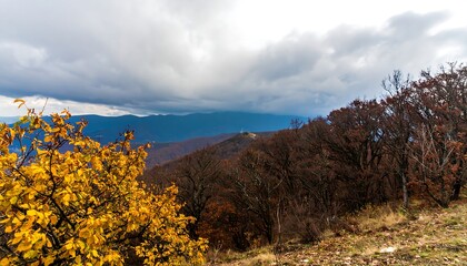 Autumnal mountain vista reveals a landscape of golden foliage against a backdrop of dark forest and a misty blue mountain range.