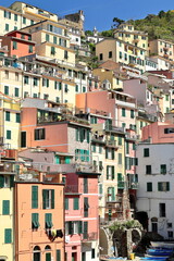 Southeast facing cluster of buildings in the midday sun on the stepped north slope of the narrow valley where the town sits. Riomaggiore-Liguria-220