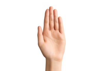 Child's open palm isolated on a transparent background, stop gesture