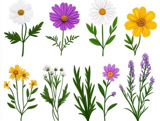Fototapeta premium Colorful floral illustrations. Various flowers, blossoms and leaves
