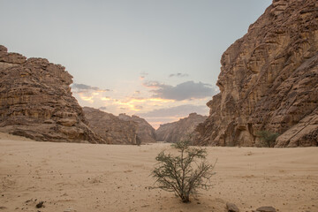AlUla Art: Wadi Rum landmarks (Saudi Arabia)
