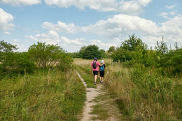 Mother and son walking together on a rural path through green fields in summer. Family enjoying...