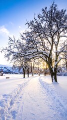 Winter wonderland path