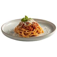 spaghetti with tomato sauce
