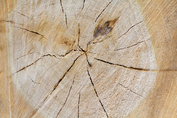 Old wooden surface with knots and cracks