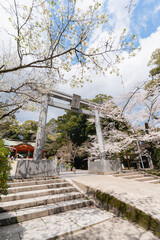 香取神宮の桜と鳥居
