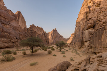 AlUla Art: Wadi Rum landmarks (Saudi Arabia)