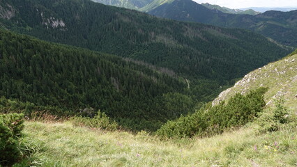 Fototapeta premium Piękny widok na góry wysokie porośnięte gęstym lasem