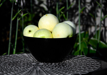 żółte jabłka w szkalnej misce na tle ogrodu, dojrzałe jabłka wczesne w czarnej misce na stoliku w ogrodzie,  „Papierówka”, „Oliwka Żółta”, first apples of the season, the earliest apples in the bowl