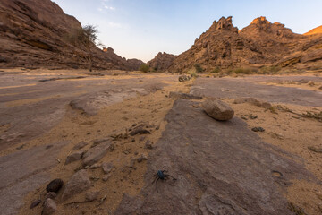 AlUla Art: Wadi Rum landmarks (Saudi Arabia)