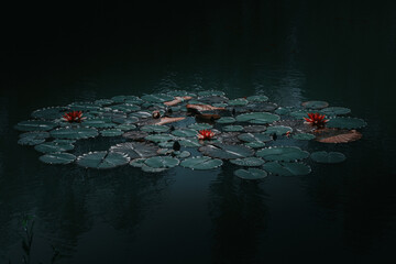 Water lilies in a pond. Abstract dark green nature background with water lilies