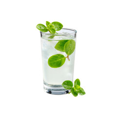 Refreshing Herbal Drink in Glass with Mint Leaves