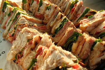 Aesthetic italian meat sandwiches on focaccia bread basked in sunlight